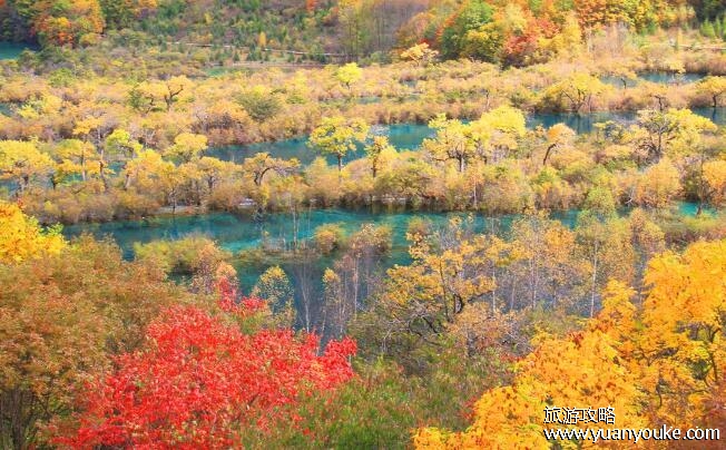 九寨沟适合几月份去旅游，10月和11月(九寨沟景点推荐)