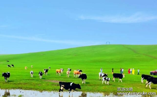 内蒙古旅游攻略必玩的景点
