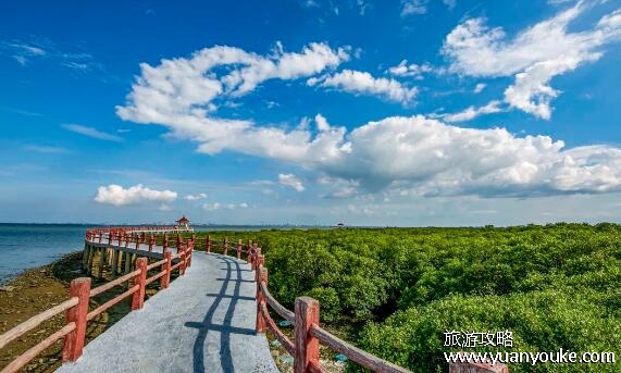 湛江特呈岛好玩吗，极具特色的美丽海岛(古代建筑众多)