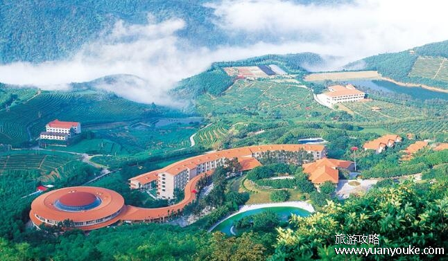 雁南飞茶田度假村好玩吗，非常适合放松身心(田园风光优美)