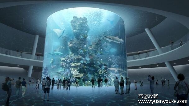 深圳小梅沙海洋世界门票多少钱一张，全票160元(优惠活动众多)