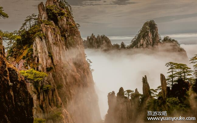 黄山免费门票2023
