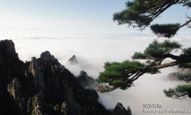黄山免费门票2023
