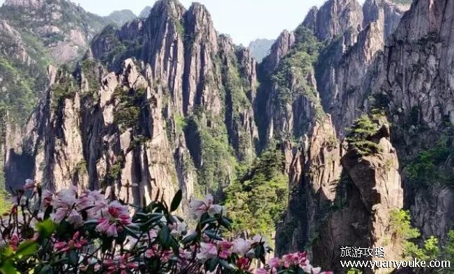黄山免费门票2023