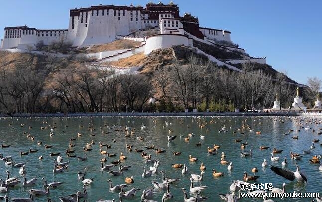 去一趟拉萨旅游大概多少钱，费用因人而异(各项费用具体参考标准)
