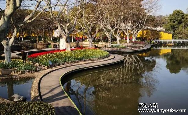 红梅公园要门票吗，不需要门票(非常适合休闲娱乐的美丽公园)