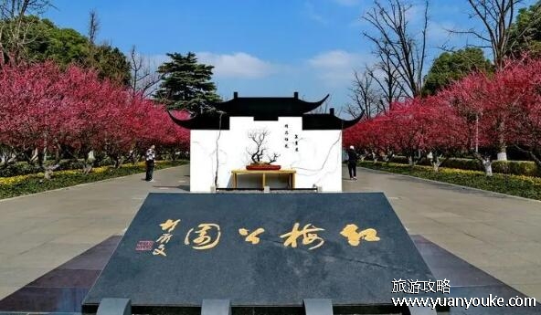 红梅公园要门票吗，不需要门票(非常适合休闲娱乐的美丽公园)