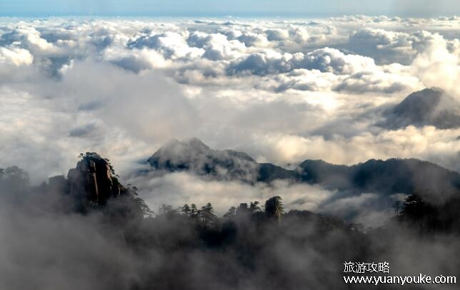 黄山四绝指的是哪四个，奇松、怪石、云海、温泉