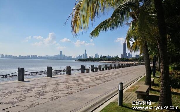 深圳红树林海滨公园要门票吗，不需要门票(免费开放的美丽公园)