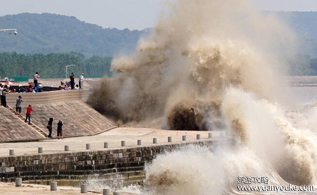 钱塘江观潮最佳时间和地点，每年农历八月十五(多个观潮最佳地点)