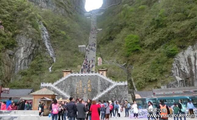 张家界旅游有哪些坑