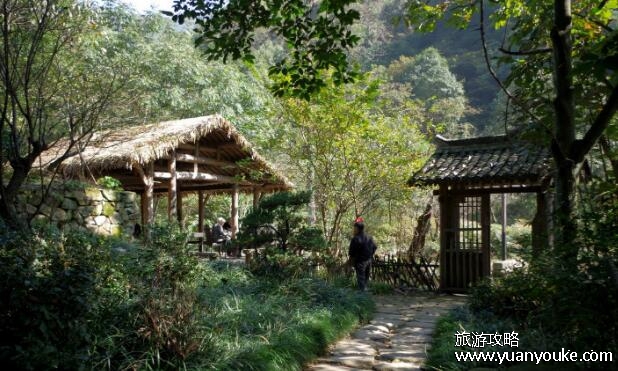 黄公望森林公园好玩吗，值得一游的美丽公园(拥有众多壮丽景观)