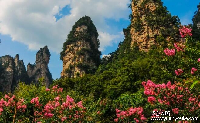 张家界几月份去玩是最佳时间，除了夏季其他时间都适合