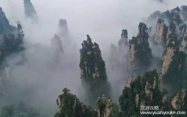旅游张家界大概多少钱，至少800元左右(各项消费详细说明)