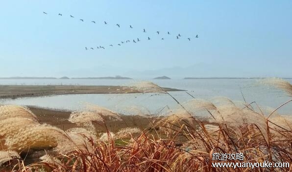 升金湖风景区好玩吗，非常迷人的旅游胜地(空气清新的天然氧吧)