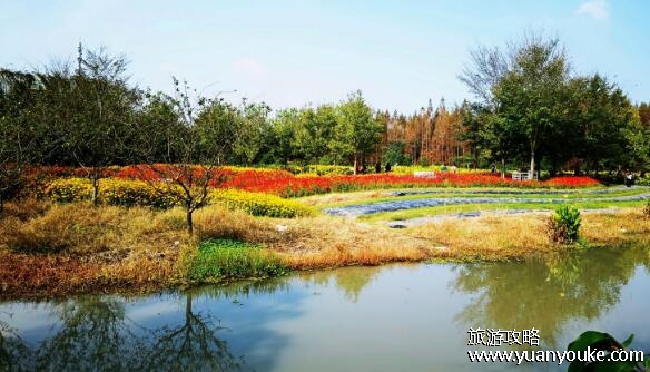 花开海上生态园门票价格是多少，成人票72元起(学生凭证享半价)