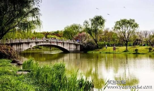 顾村公园在什么地方，在上海市宝山区(公园内特色景点众多)