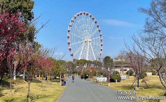 顾村公园在什么地方，在上海市宝山区(公园内特色景点众多)