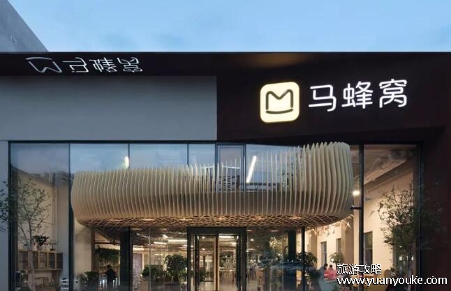 旅游团报名哪个平台好，携程、马蜂窝、途牛