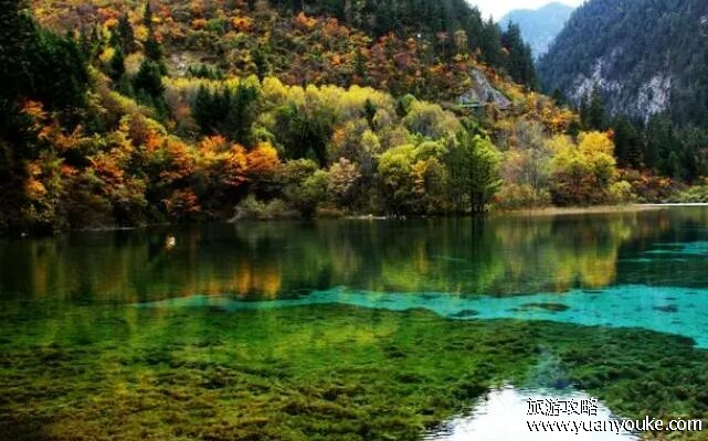 九寨沟门票老年人有优惠吗，有(平时60岁以上的老年人免票)