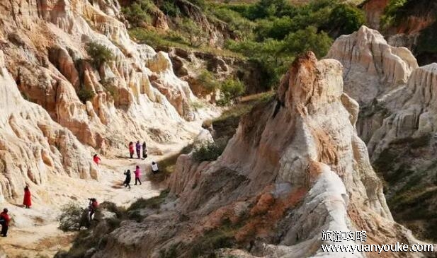 乾安泥林门票多少钱，60元一张(1.2米以下儿童可以免费进入)