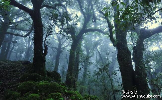 为什么叫哀牢山，哀牢山名字的由来(傣彝不分家跟哀牢国有关)