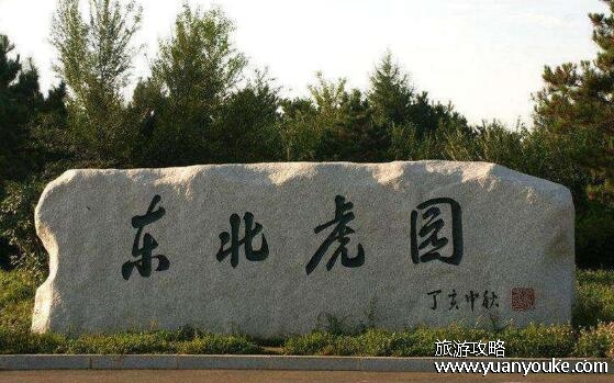 长春东北虎园好玩吗，非常适合亲子游的动物园(互动活动多)
