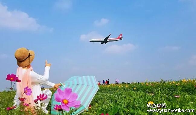 空港花田景区好玩吗，非常美丽的旅游景区(宛如世外桃源一般)