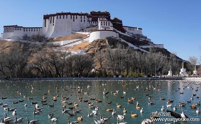 旅游最适合的城市