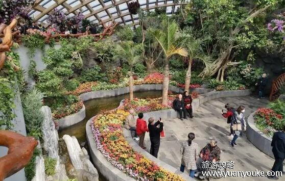 太原植物园门票多少钱，旺季50元/淡季30元(优惠活动众多)