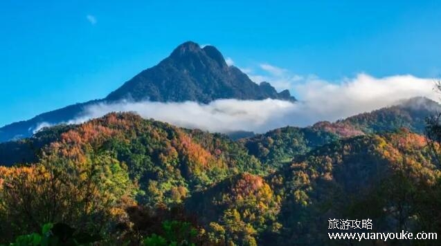 五指山在哪，在海南省中部(拥有令人震撼的魅力景色)