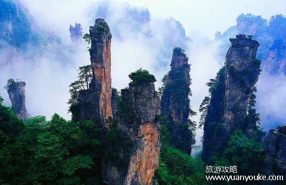 张家界需要门票吗，门票价格表（免费优惠政策）
