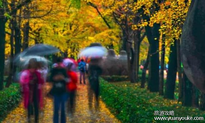 city walk怎么理解，赴行一场浪漫的约会(更加注重旅游的过程)