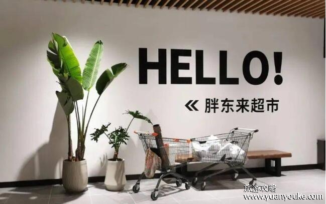 胖东来超市在哪个城市，河南许昌市和新乡市(不在其他城市扩张的原因)