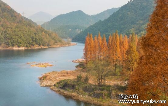 四明山海拔高度是多少米，1018米(别具一格的旅游胜地)