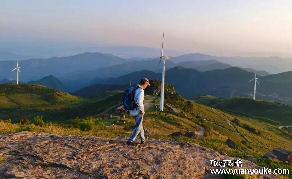 浙江东白山海拔多少米高度，1194.6米(浙中地区的屋脊)