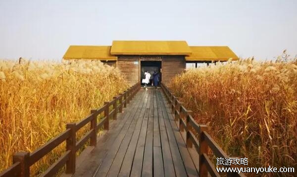 杭州湾湿地公园好玩吗，草长莺飞的湿地公园(美食名扬海外)