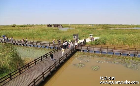 杭州湾湿地公园好玩吗，草长莺飞的湿地公园(美食名扬海外)