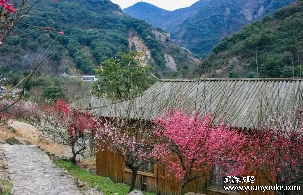 宁波九峰山海拔多少米，498米(传统特色美食非常丰富)
