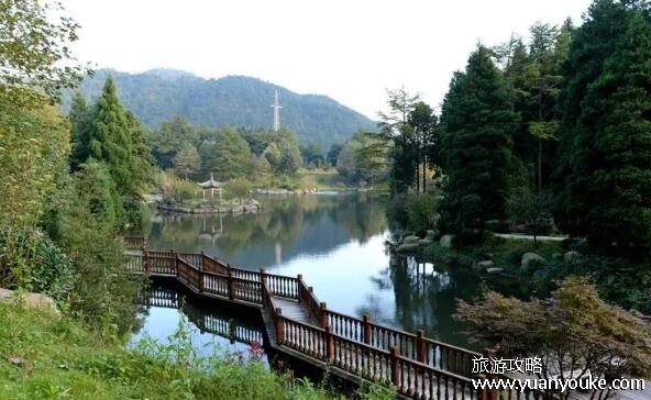 四明山国家森林公园好玩吗，美如画卷的森林公园(适合休闲放松)