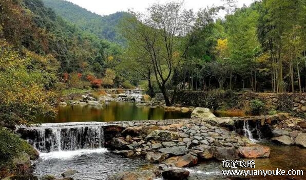 小九寨沟在什么地方，在四川阿坝(珍稀动植物种类众多)