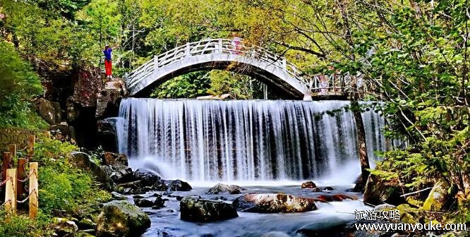 小九寨沟在什么地方，在四川阿坝(珍稀动植物种类众多)