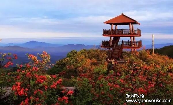 大围山海拔多少米，1607.9米(是浏阳河的发源地)