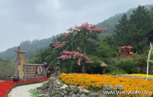 天露山在哪个地方，在广东省界内(空气清新的天然氧吧)