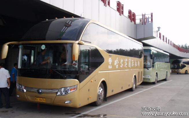 哈尔滨机场大巴时刻表2023，10条线路详细发车时间