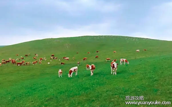 草原旅游去哪里好 ，5处必去的大草原（几月份去最好）