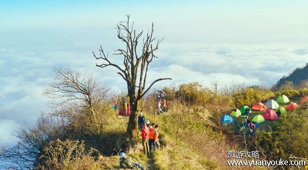 赵公山海拔多少米高，2434米(四季景色都非常独特)