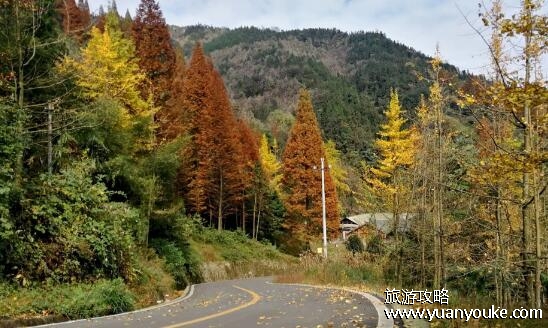赵公山海拔多少米高，2434米(四季景色都非常独特)