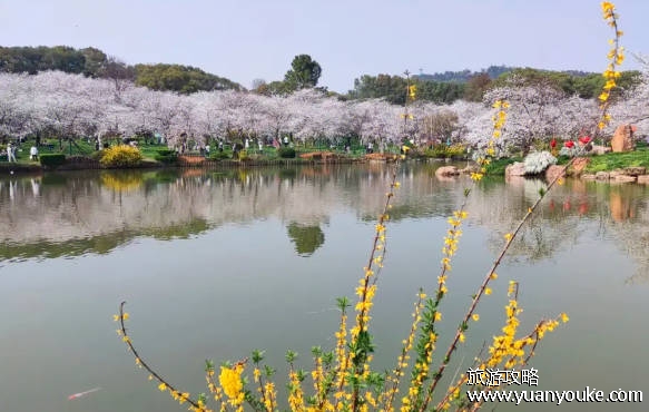 武汉有什么好玩的地方景点推荐，必去的景点（路线推荐）