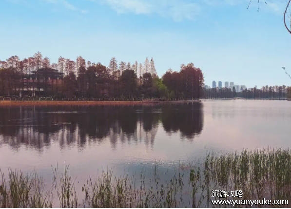 武汉有什么好玩的地方景点推荐，必去的景点（路线推荐）